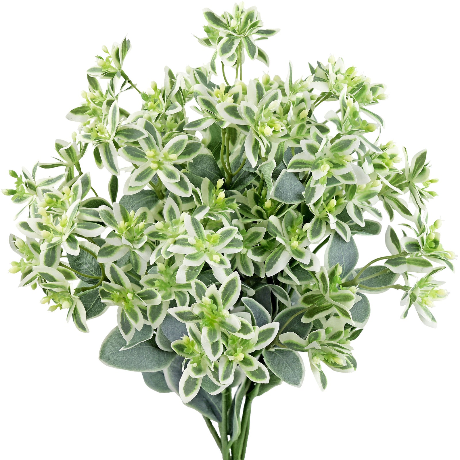 FiveSeasonStuff Snow on the Mountain Euphorbia Marginata Artificial Leaves and Branches Filler Greenery 18 inches 6 Stems