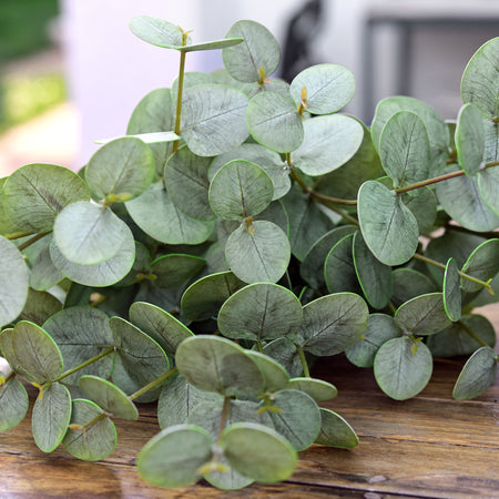 FiveSeasonStuff Real Touch Silver Dollar Eucalyptus 3D Pringting Texture Artificial Eucalyptus Leaves Decoration Home Décor ( select 3 or 5 Stems)