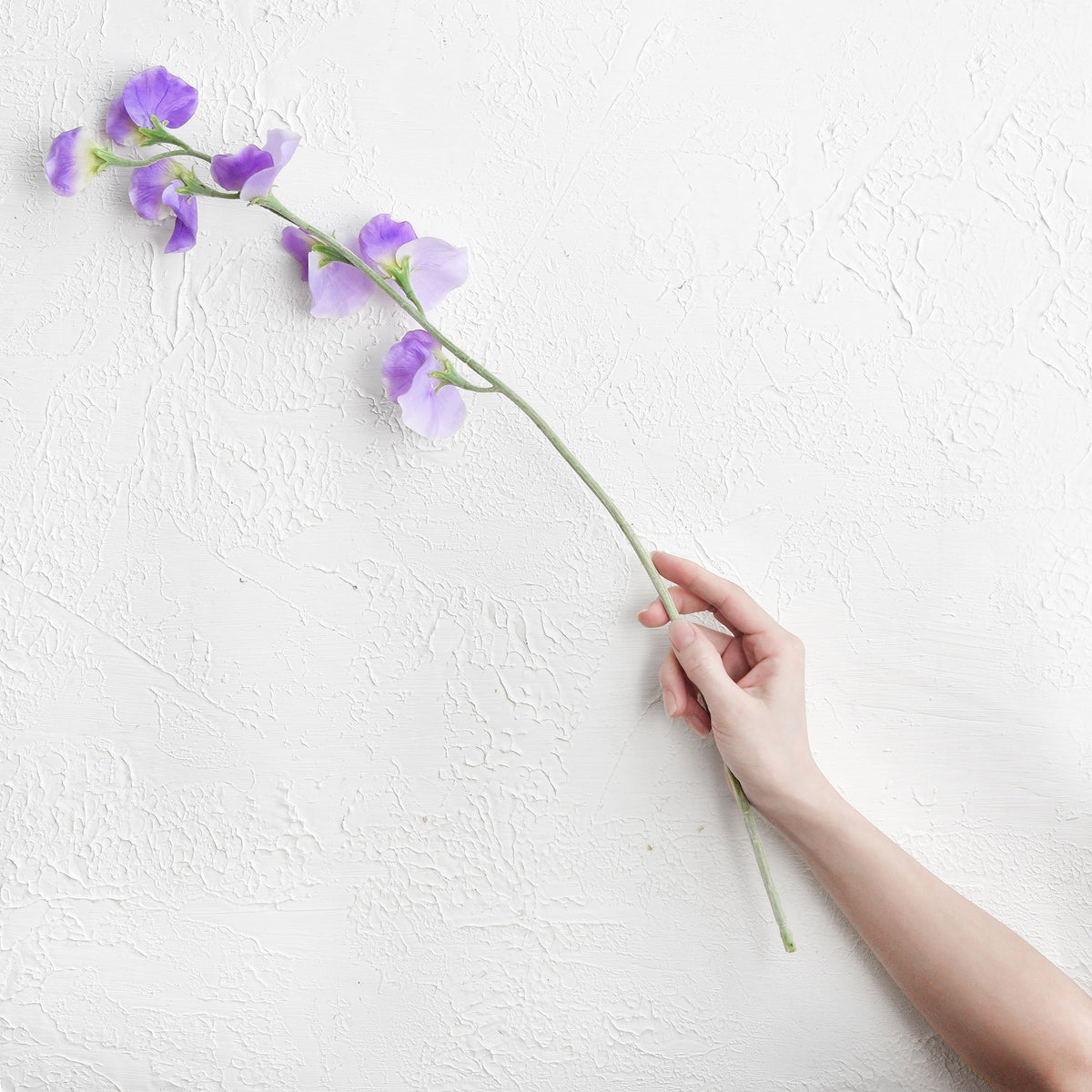 Indigo Purple Sweet Pea Flowers Real Looking Artificial flowers