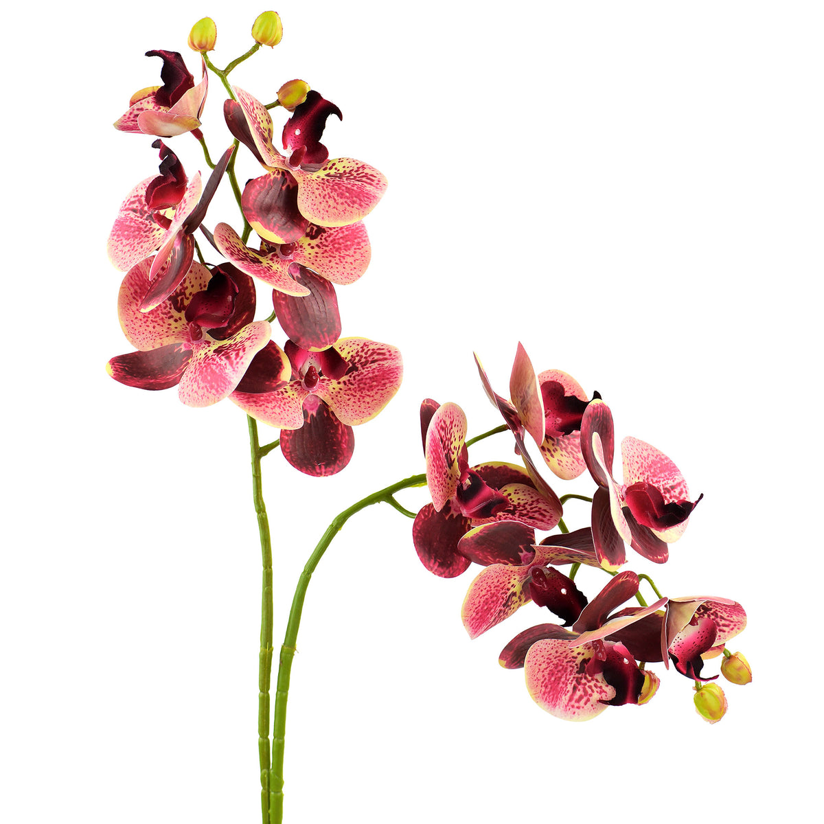 Tropical Berry Pink 2 Stems Real Touch Artificial Butterfly Orchids/Mo