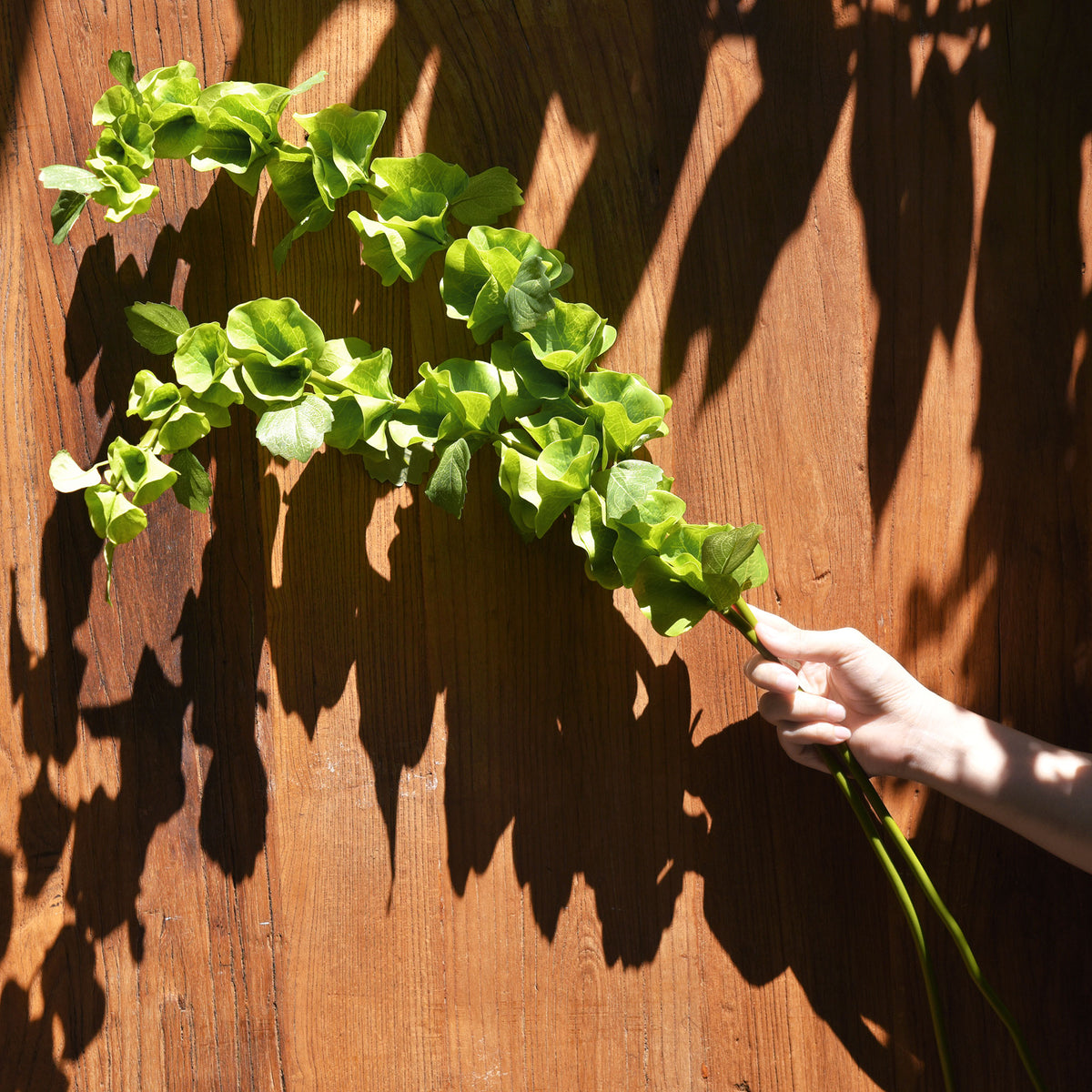 2 Stems of Artificial Bells of Ireland Flowers Filler Flowers Floral
