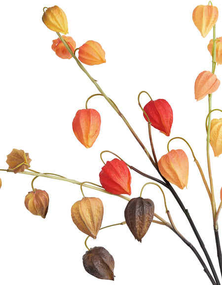 Artificial Chinese Lantern Stems – Rustic Harvest Mix (Multi-Color) – Set of 3