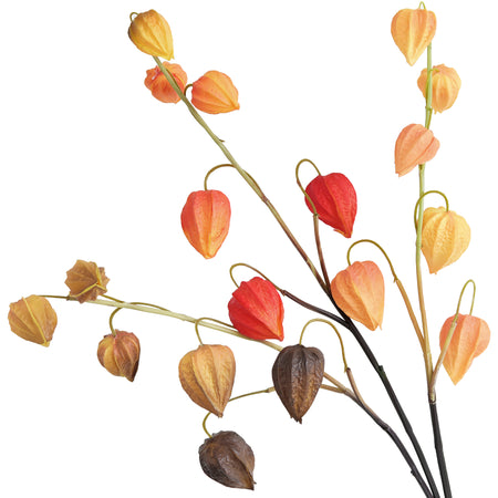 Artificial Chinese Lantern Stems – Rustic Harvest Mix (Multi-Color) – Set of 3
