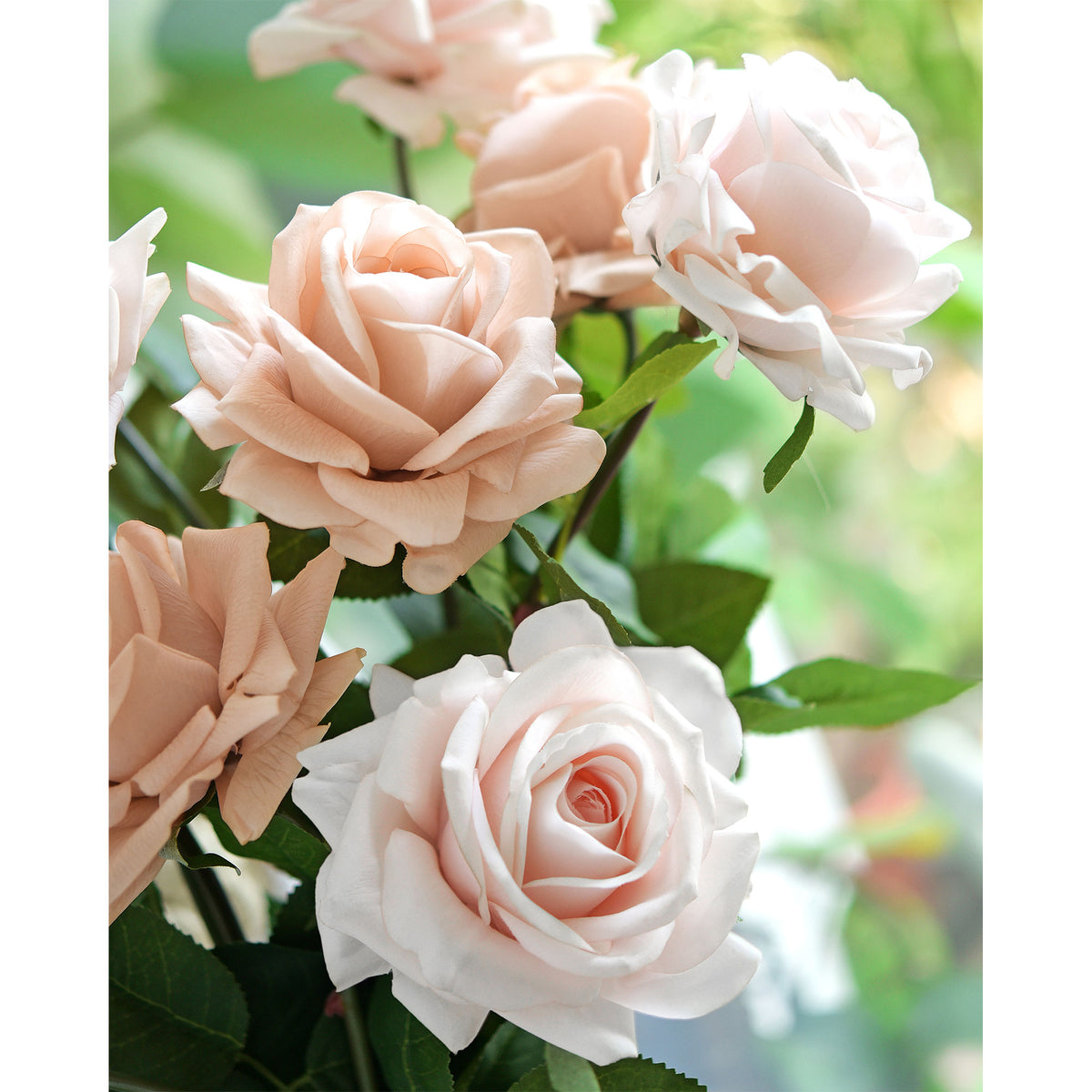 6 Long Stems Faded Pink Real Touch Garden Roses Large Blooms ...