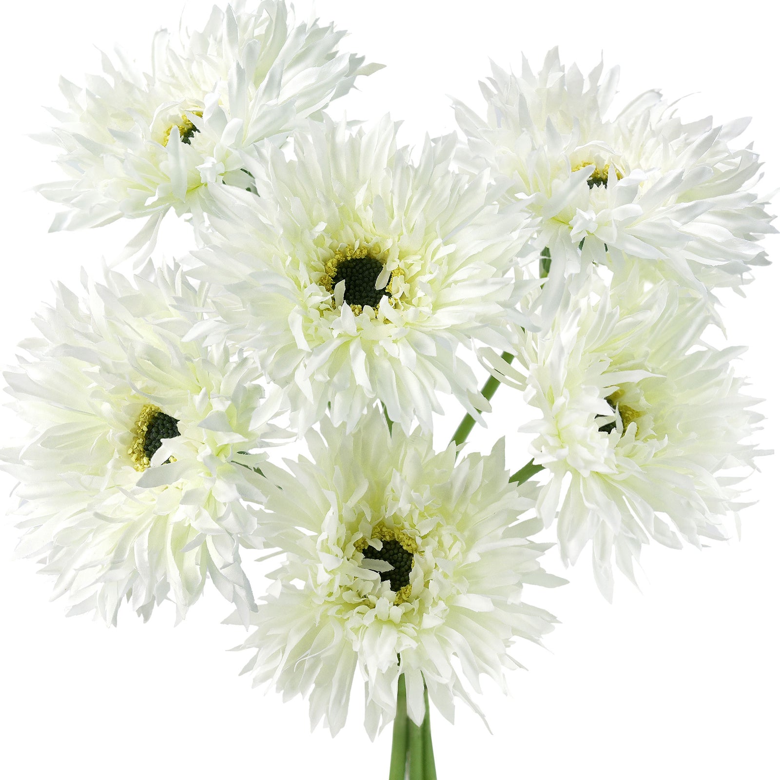 Mint Cream Spider Gerbera Daisies Silk Flowers Real Looking Artificial flowers Home Décor 16.5'' (6 Stems) FiveSeasonStuff