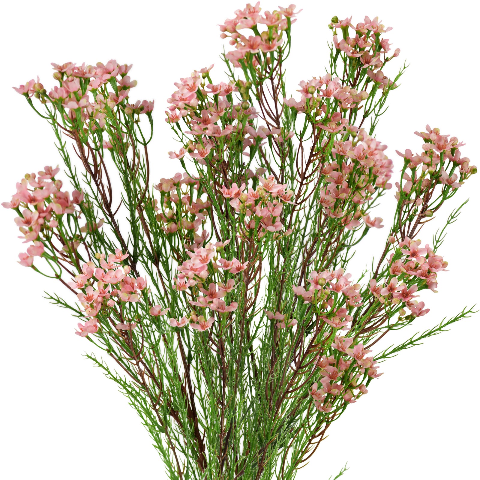 Coral Pink Timeless Charm Wax Flowers, Long Stem Artificial Silk Flowers 6 Stems 2.6ft (78cm) Tall