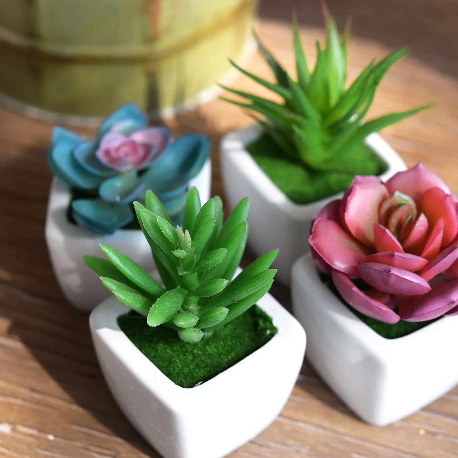 Set of 4 Mini Artificial Potted Green Succulent Plants/Faux Bonsai Aloe (Style C)