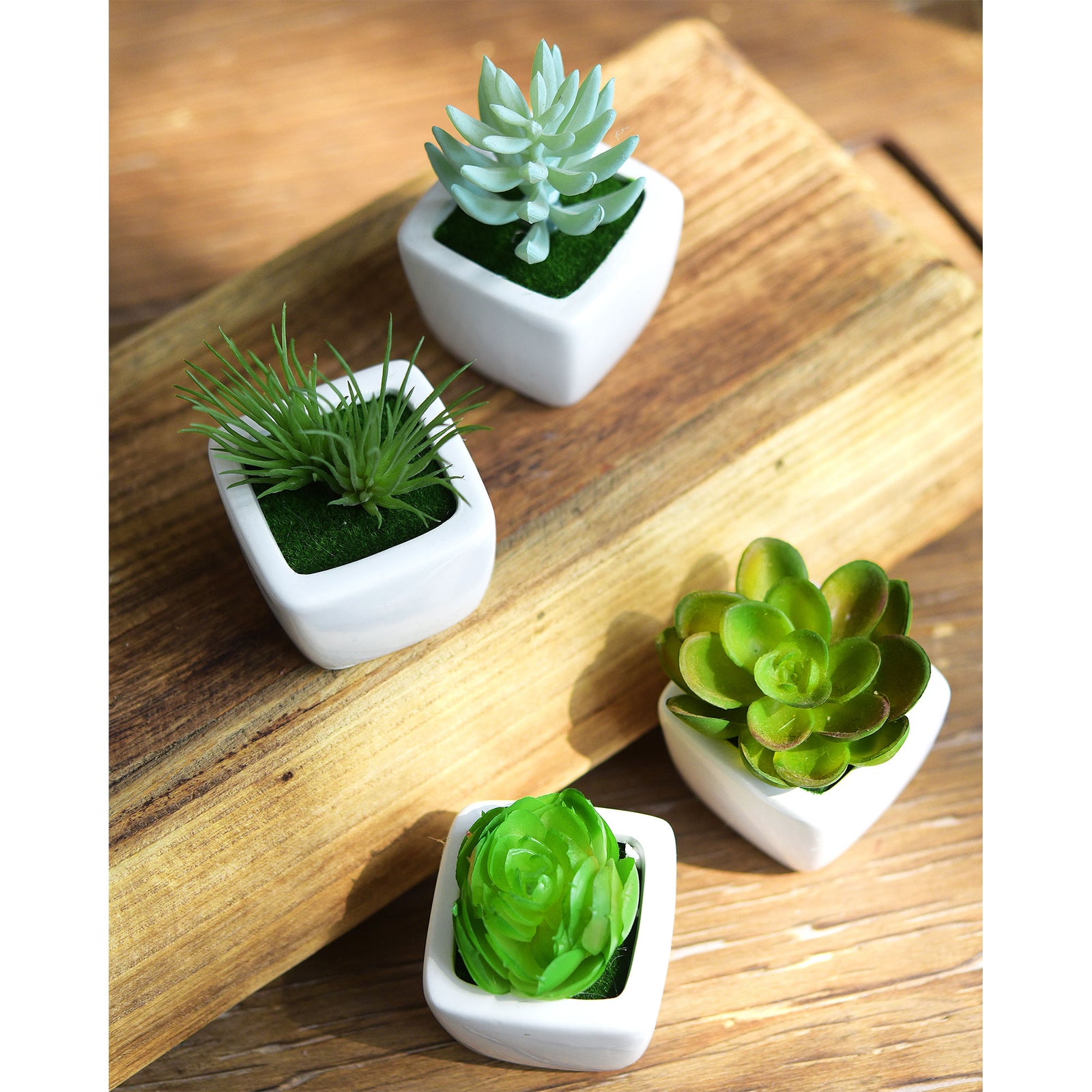 Set of 4 Mini Artificial Potted Green Succulent Plants/Faux Bonsai Aloe (Style B)