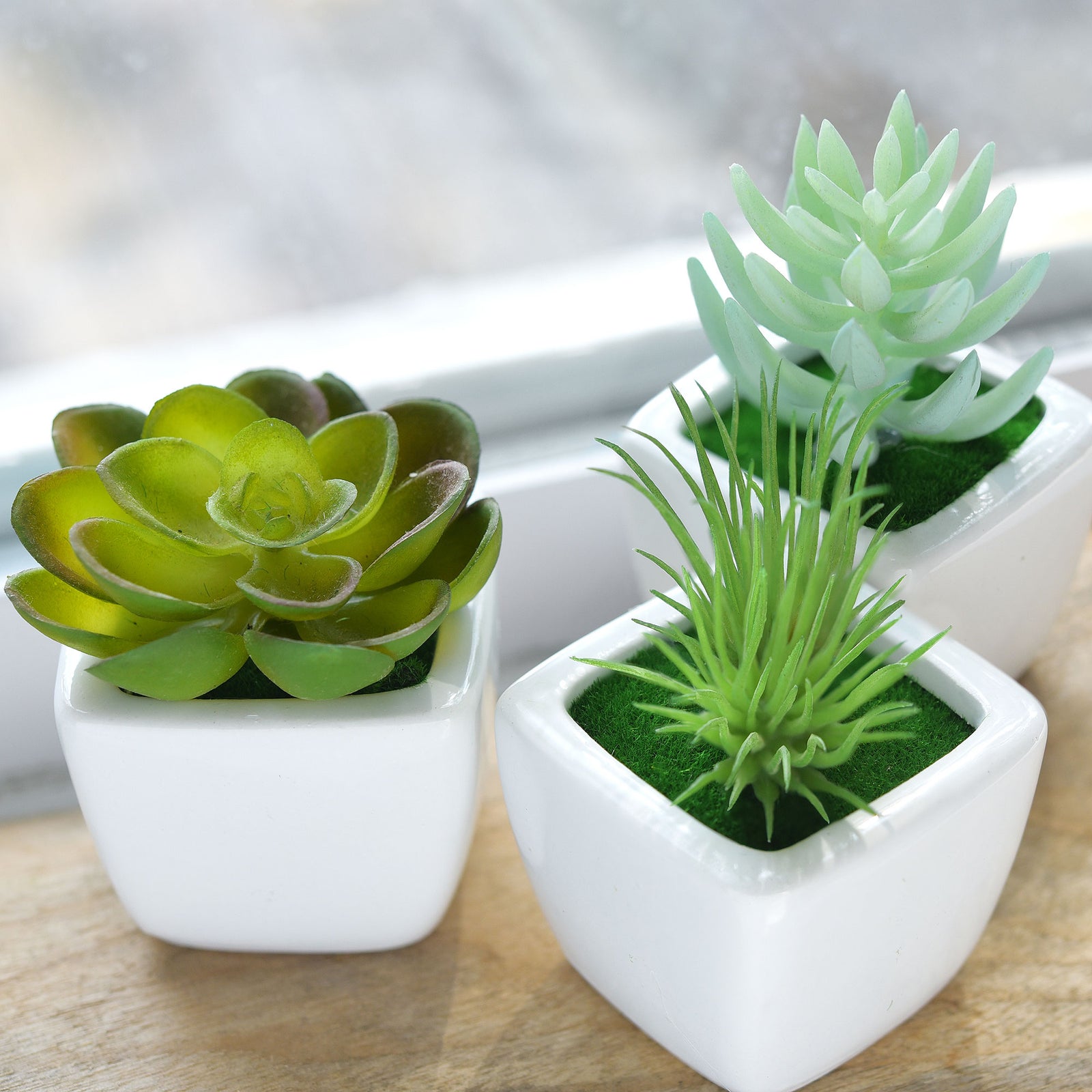 Set of 4 Mini Artificial Potted Green Succulent Plants/Faux Bonsai Aloe (Style B)