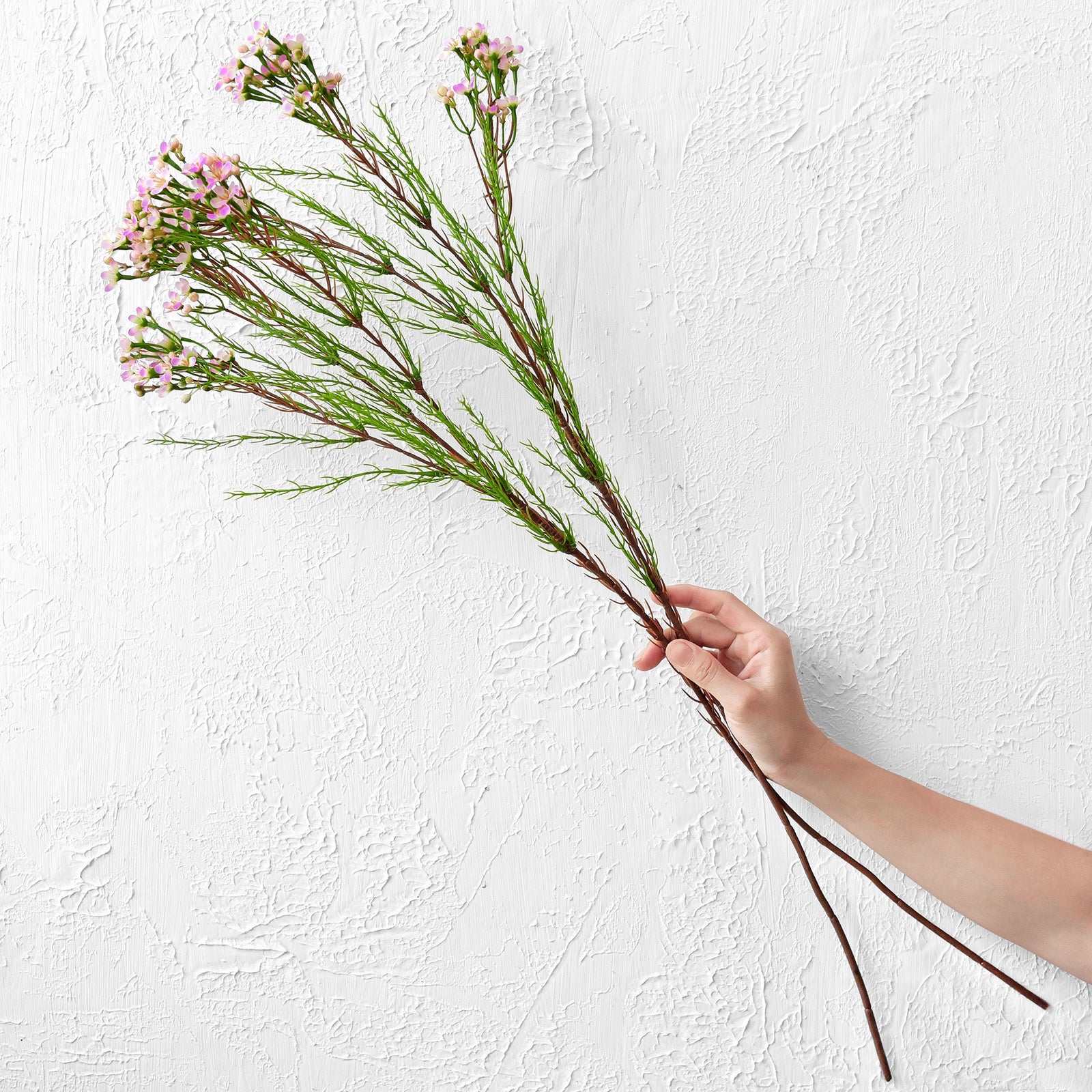 Blossom Pink Timeless Charm Wax Flowers, Long Stem Artificial Silk Flowers 6 Stems 2.6ft (78cm) Tall