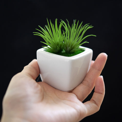 Set of 4 Mini Artificial Potted Green Succulent Plants/Faux Bonsai Aloe (Style B)