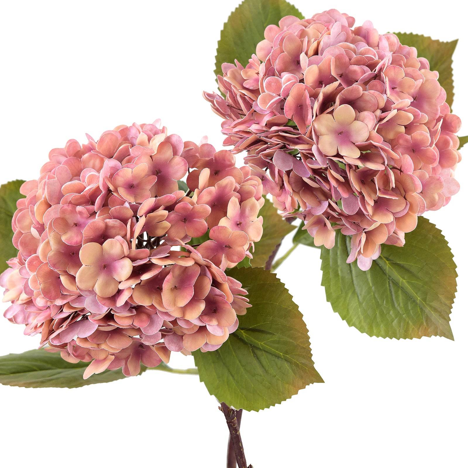 2 Long Stems Real Touch Hydrangea Artificial Flowers Blush Sunset (Warm Pink) Lifelike, Elegant, and Versatile Decor for Any Occasion (Copy)