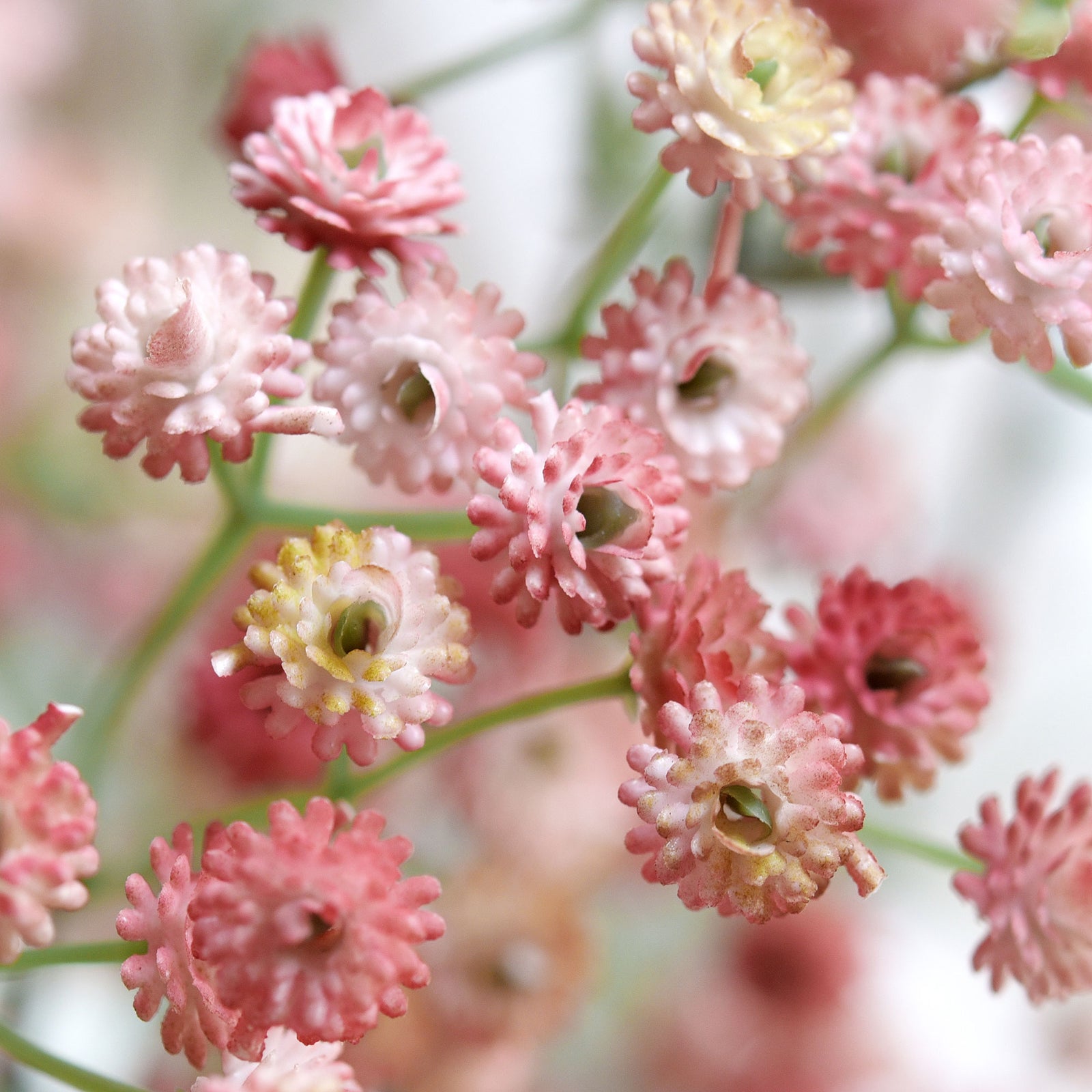 6 Stems 69cm Ruddy Pink Baby’s Breath Artificial Flowers Baby’s Breath Gypsophila Tall Long Stems