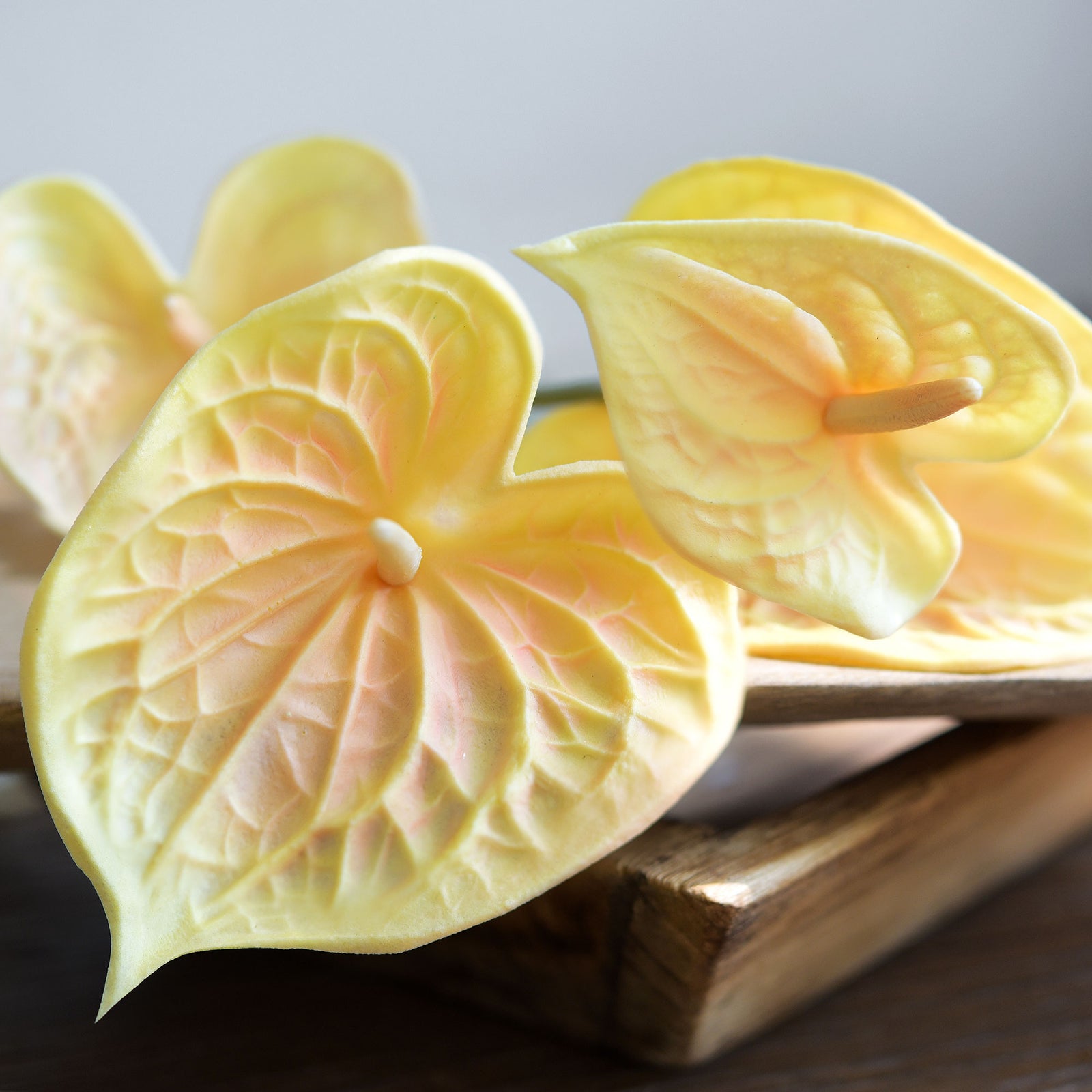 Anthurium Flower 'Peach Yellow' Real Touch Artificial Flowers, 16.5” 4 Stems FiveSeasonStuff Floral