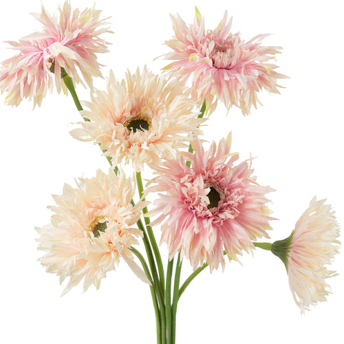 Mandys Pink Mix Spider Gerbera Daisies Silk Flowers Real Looking Artificial flowers Home Décor 16.5'' (6 Stems) FiveSeasonStuff