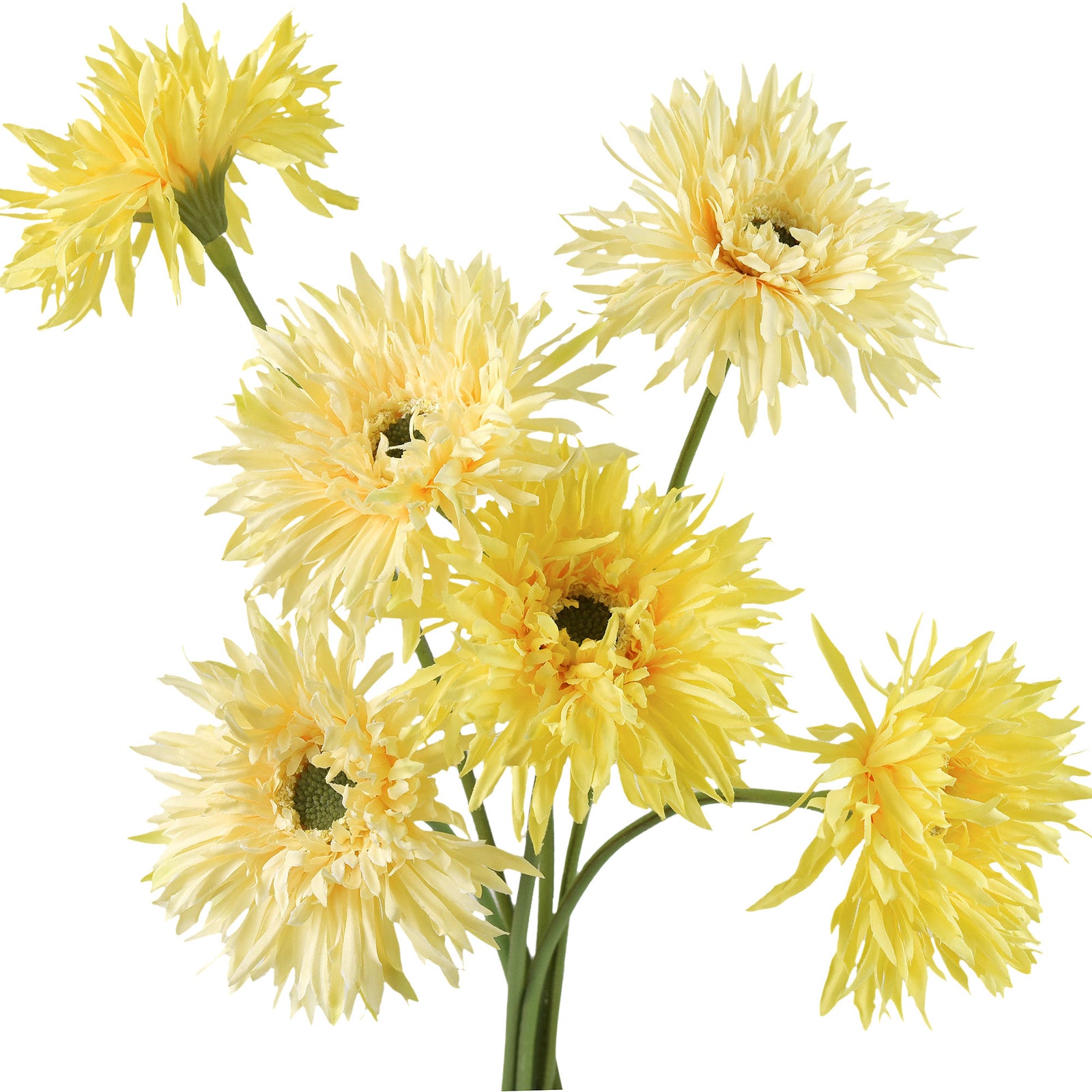 Golden Sand Mix Spider Gerbera Daisies Silk Flowers Real Looking Artificial flowers Home Décor 16.5'' (6 Stems) FiveSeasonStuff