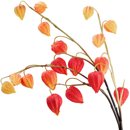Artificial Chinese Lantern Stems – Autumn Ember (Red-Orange) – Set of 3