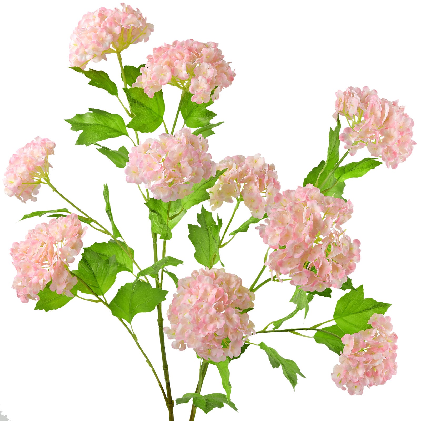 Blush Pink Snowball Viburnum Long Stem Artificial Flowers 2 Stems