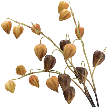 Artificial Chinese Lantern Stems – Harvest Bronze (Brown-Gold) – Set of 3