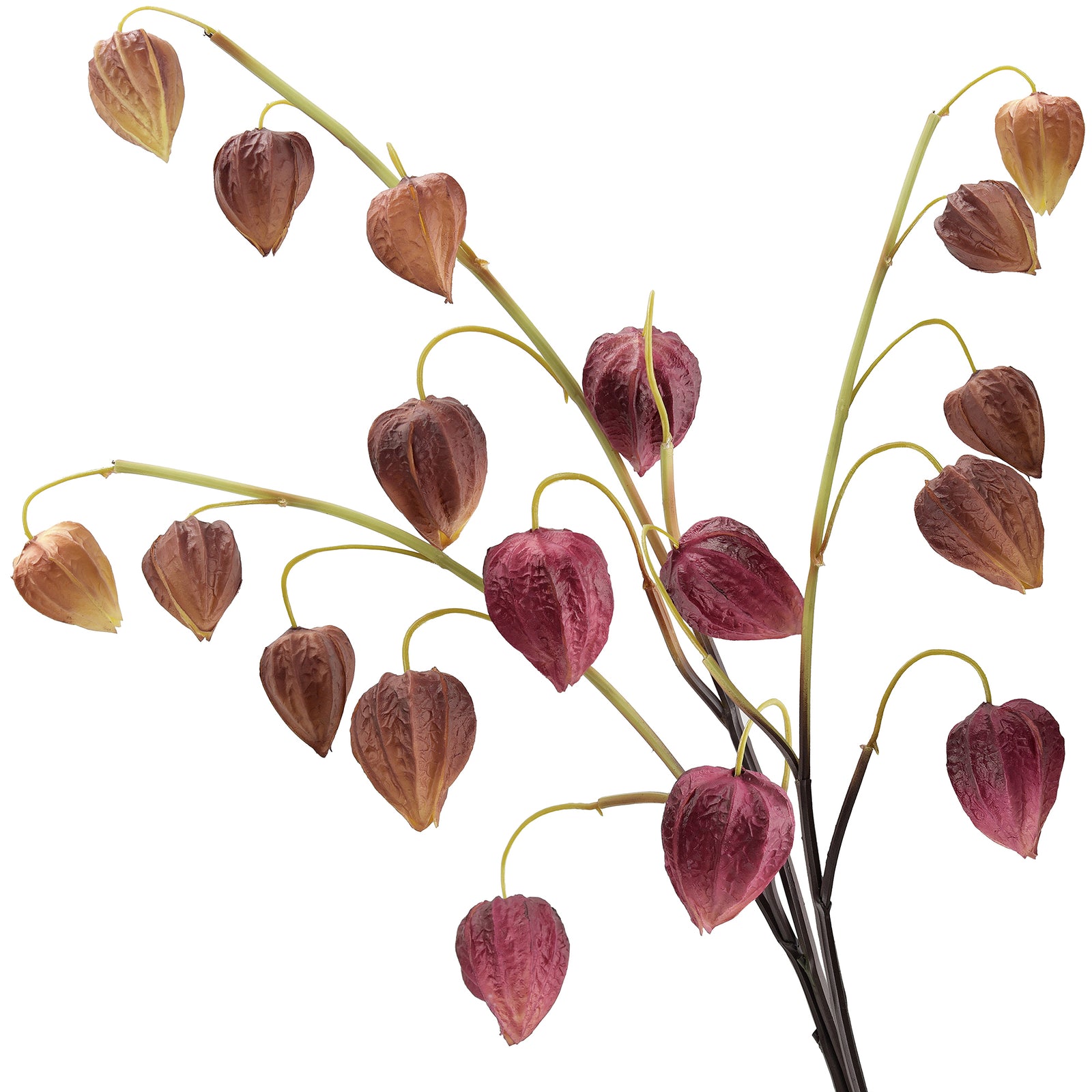 Artificial Chinese Lantern Stems – Plum Spice (Plum-Brown) – Set of 3