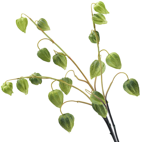 Artificial Chinese Lantern Stems – Leafy Green – Set of 3