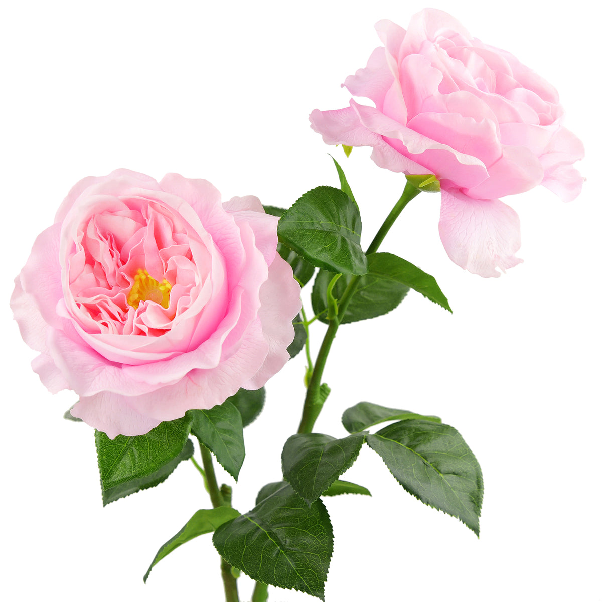 Powder Pink Real Touch Garden Roses Large Blooms 2 Long Stems ...