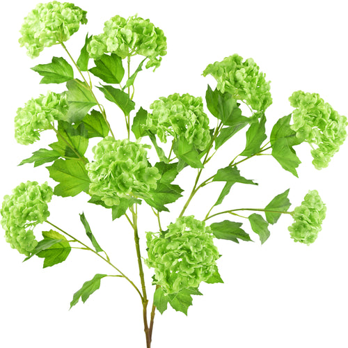 Kiwi Green Snowball Viburnum Long Stem Artificial Flowers 2 Stems