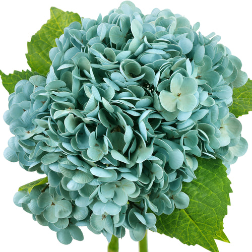 2 Stems Pale Jade Green Real Touch Petals and Leaves Artificial Hydrangea Flowers Long Stem Floral Arrangement | for Wedding Bridal Party Home Décor DIY Floral Decoration