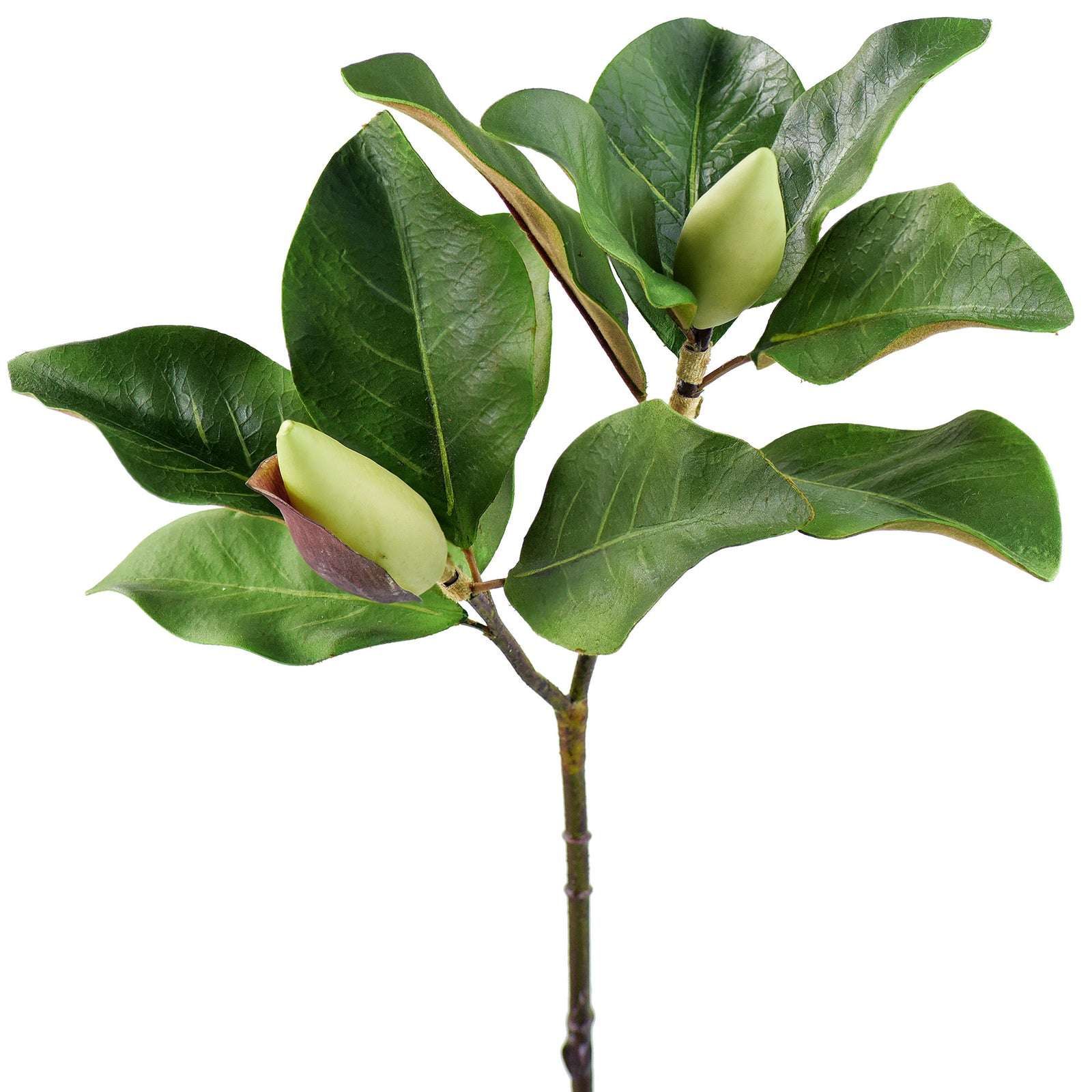 Magnolia Leaf Spray with Buds Artificial Greenery 25 inches