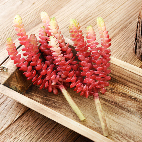 2 Stems Realistic-Looking Artificial/Faux/Fake Succulent Unpotted Plant Bulk for Decoration, Gifts, DIY (Red)