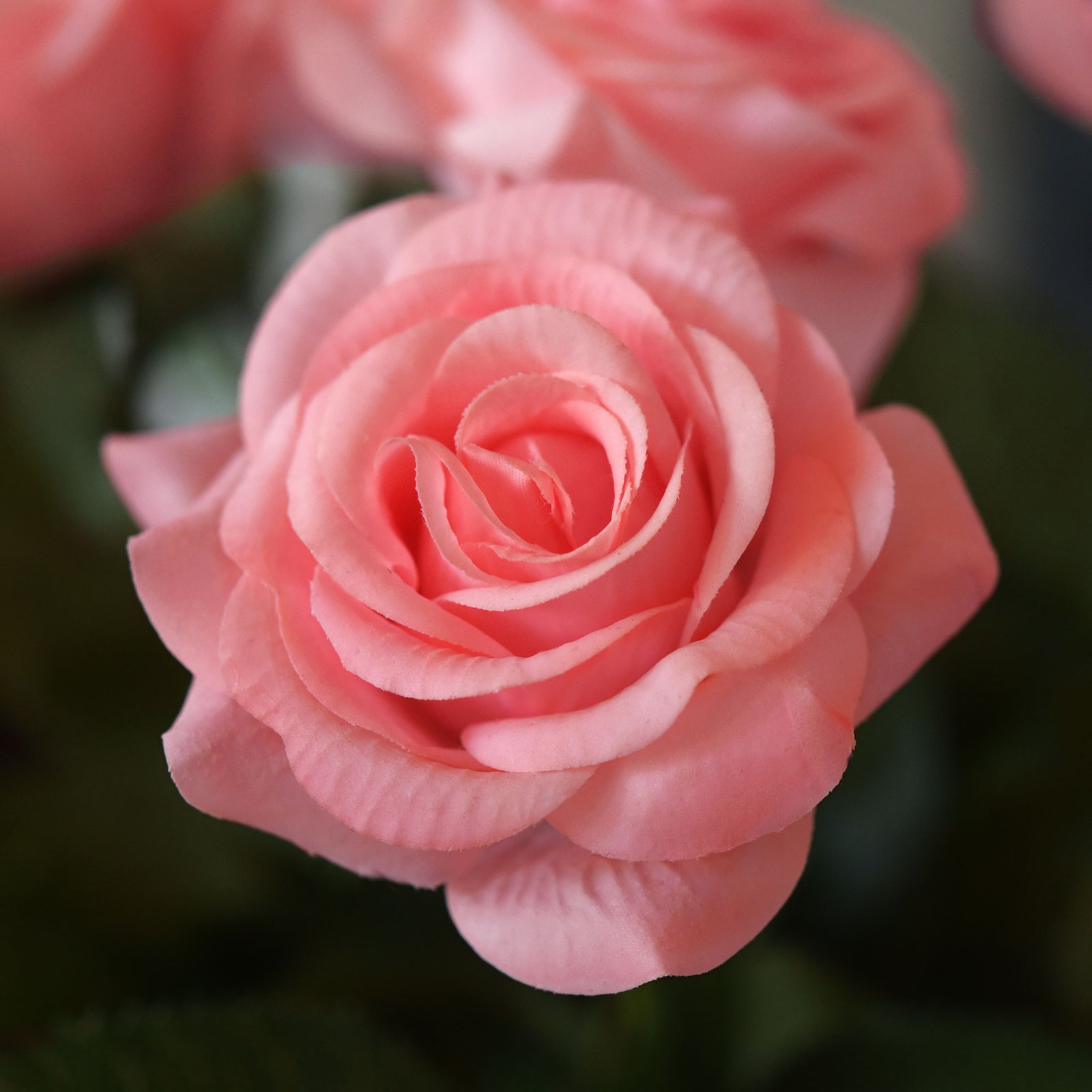 Pinkish Real Touch Silk Artificial Flowers ‘Petals Feel and Look like Fresh Roses 10 Stems