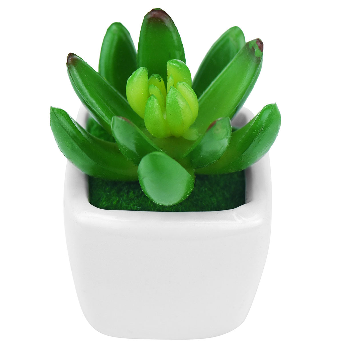 Set of 4 Mini Artificial Potted Green Succulent Plants/Faux Bonsai Aloe (Style A)