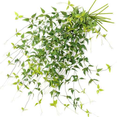 Versatile Decor Delight: Lush 28ft 10-Vine Set of Elegant Artificial Silk Clematis Leaves for Any Occasion or Event