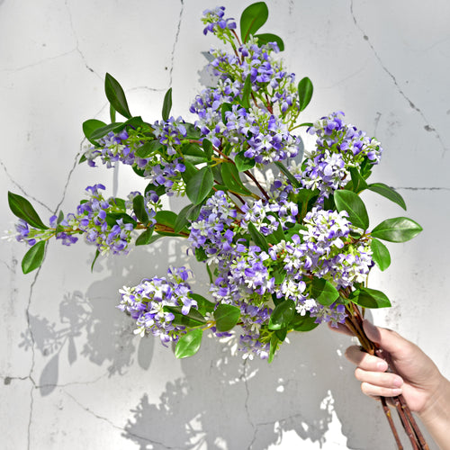 5 Stems Artificial Pale Violet Murraya Panniculata Branches Orange Jessamine Greenery Floral Arrangement Decoration 30 inches