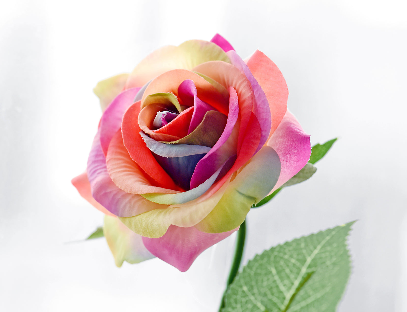 Rainbow Real Touch Silk Artificial Flowers ‘Petals Feel and Look like Fresh Roses 10 Stems