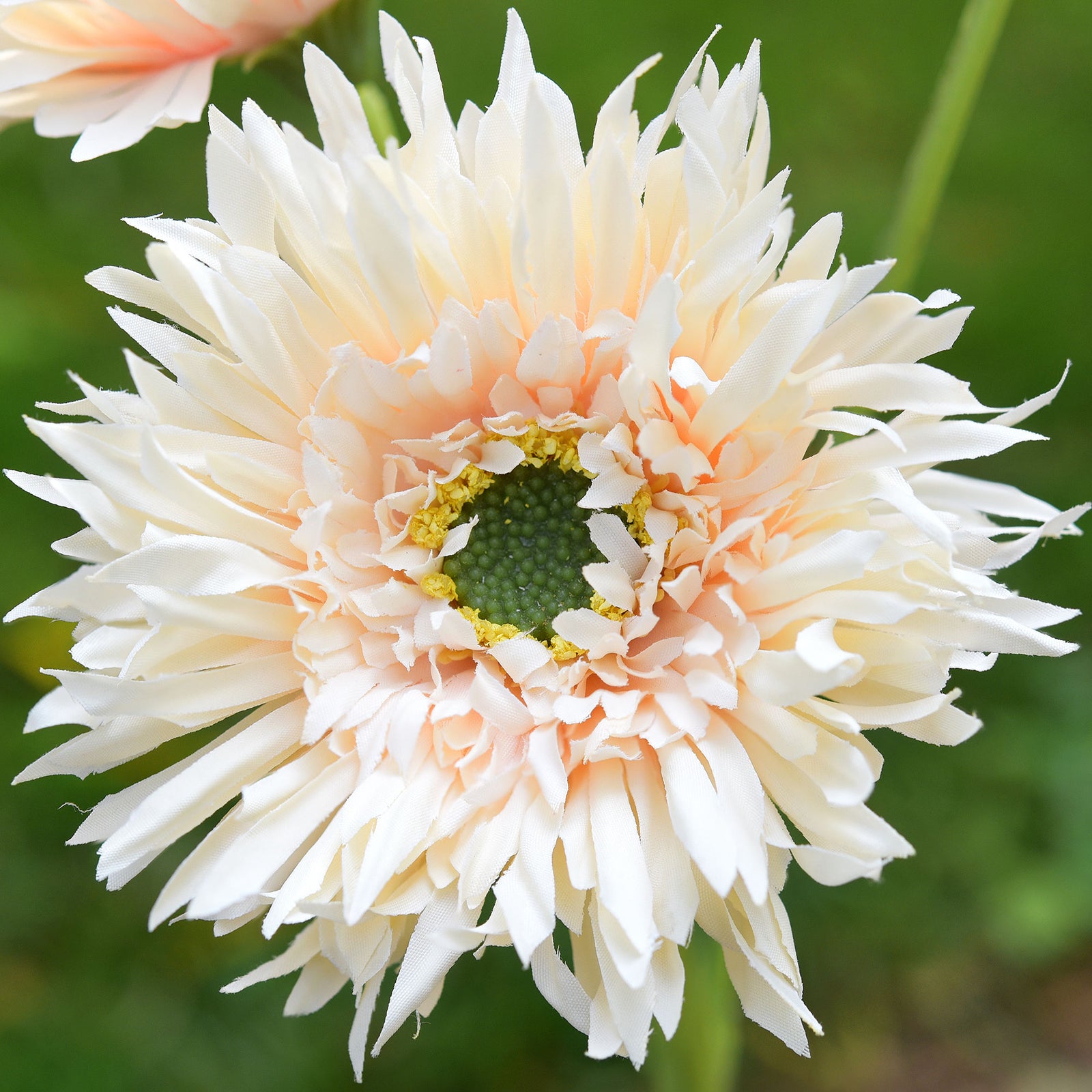 Light Peach Spider Gerbera Daisies Silk Flowers Real Looking Artificial Flowers Home Decor 16 5 6 Stems Fiveseasonstuff