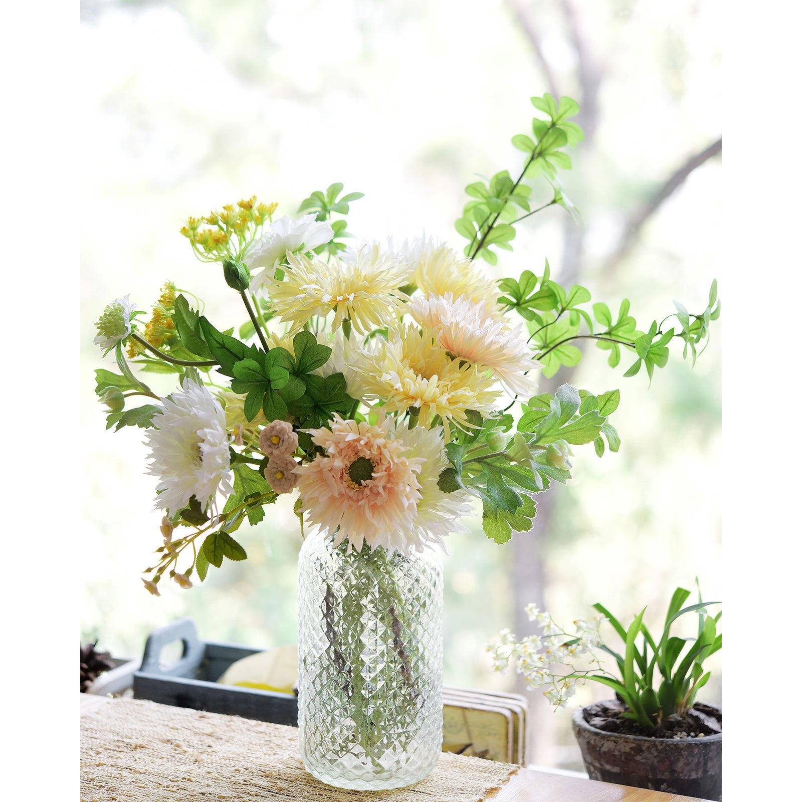 Dried Daisy Flowers Bouquet,Real Dry White Flower,Gerber Daisies