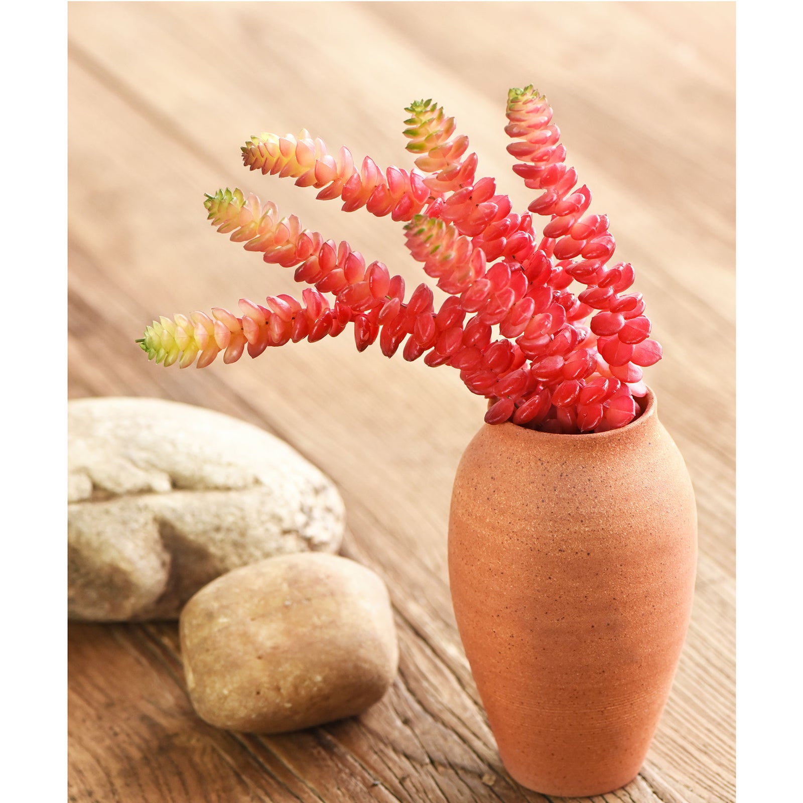 2 Stems Realistic-Looking Artificial/Faux/Fake Succulent Unpotted Plant Bulk for Decoration, Gifts, DIY (Red)