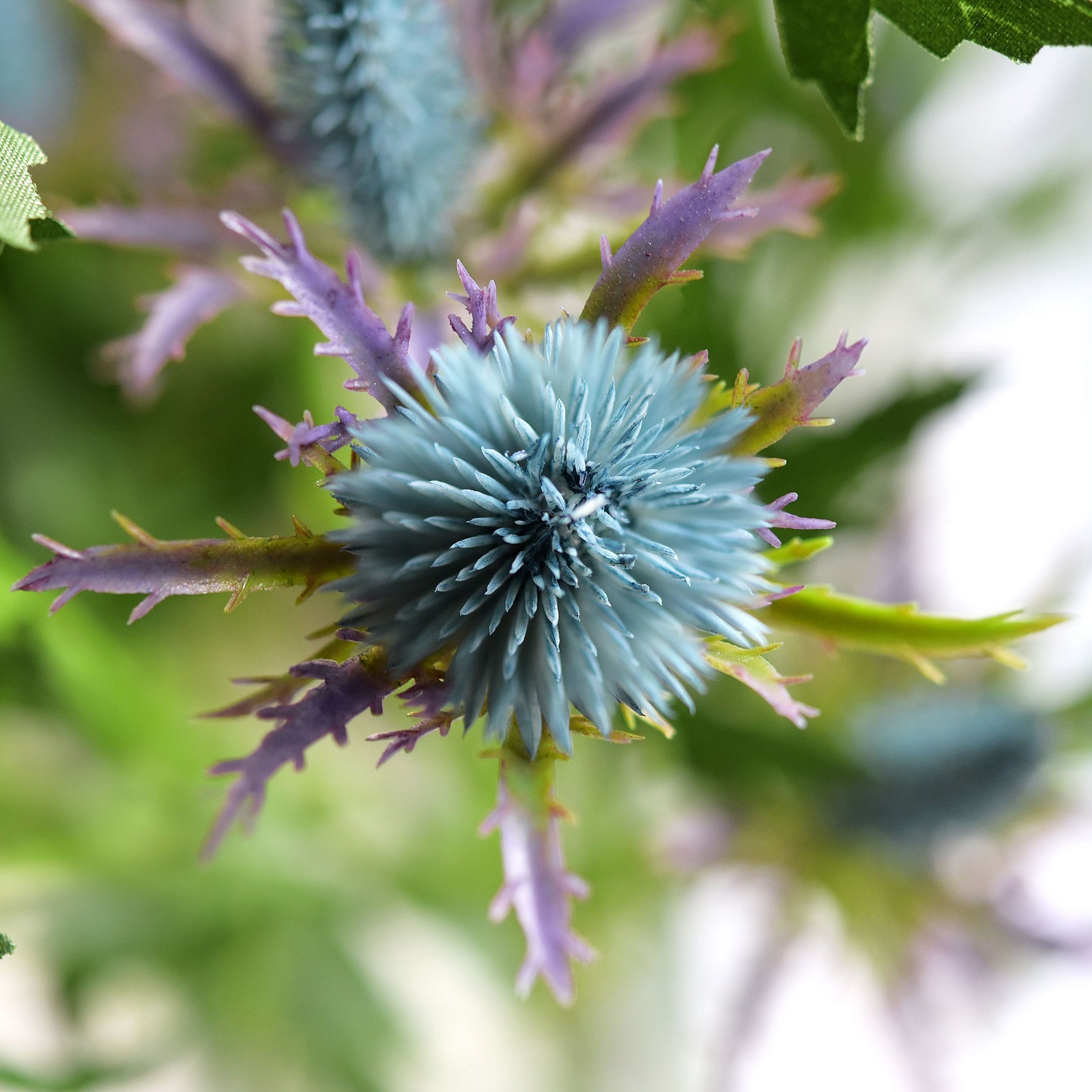 Real Life Size Artificial Real Touch Eryngium (Sea Holly) Northern Lights Blue Thistles (5 Stems)