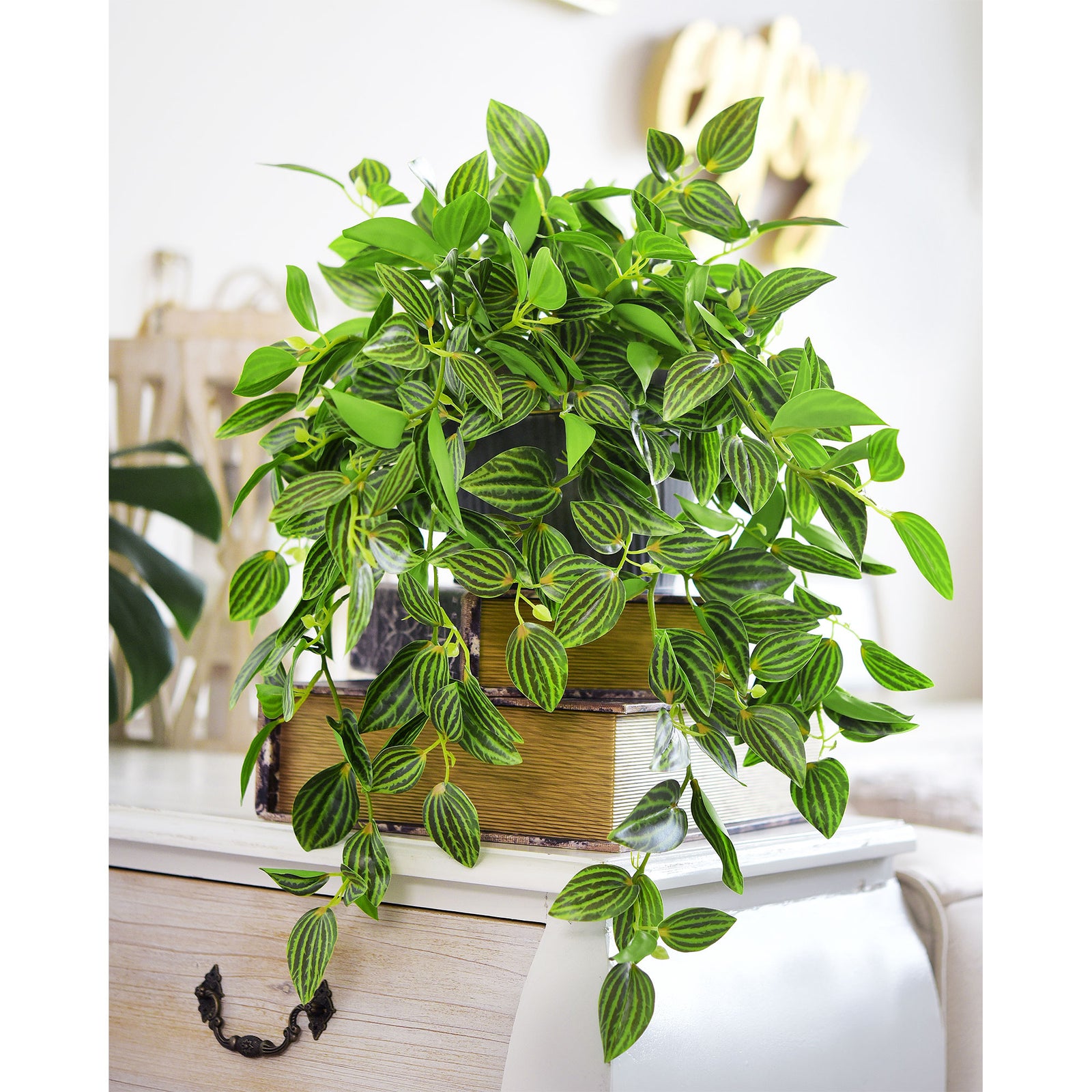 FiveSeasonStuff Real Touch Artificial Hanging Plant Watermelon Peperomia Home Decor 2 Stems