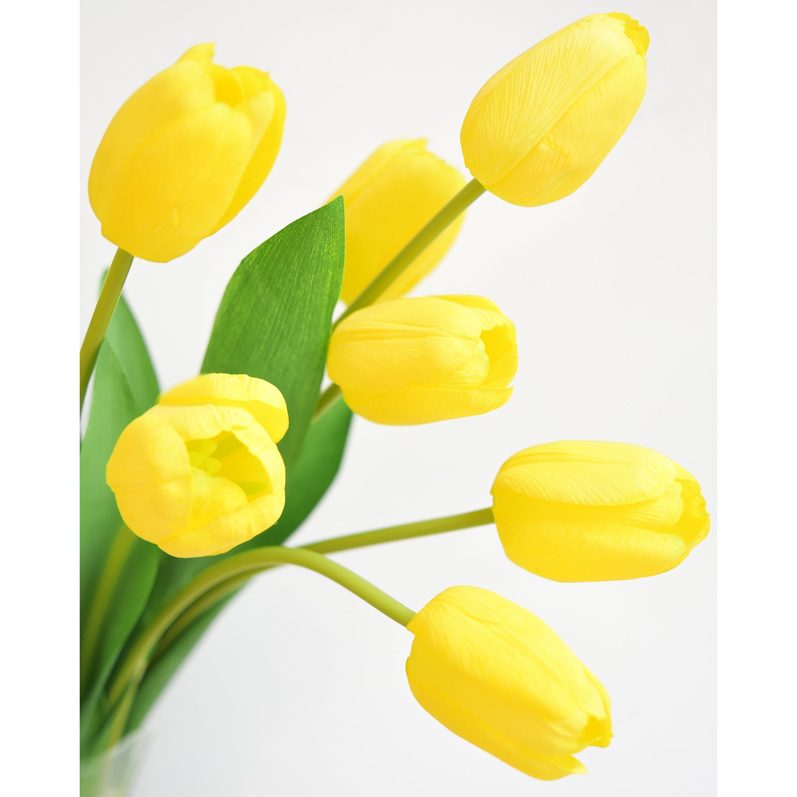 Close-up of realistic yellow tulip blooms with soft petals and green leaves.