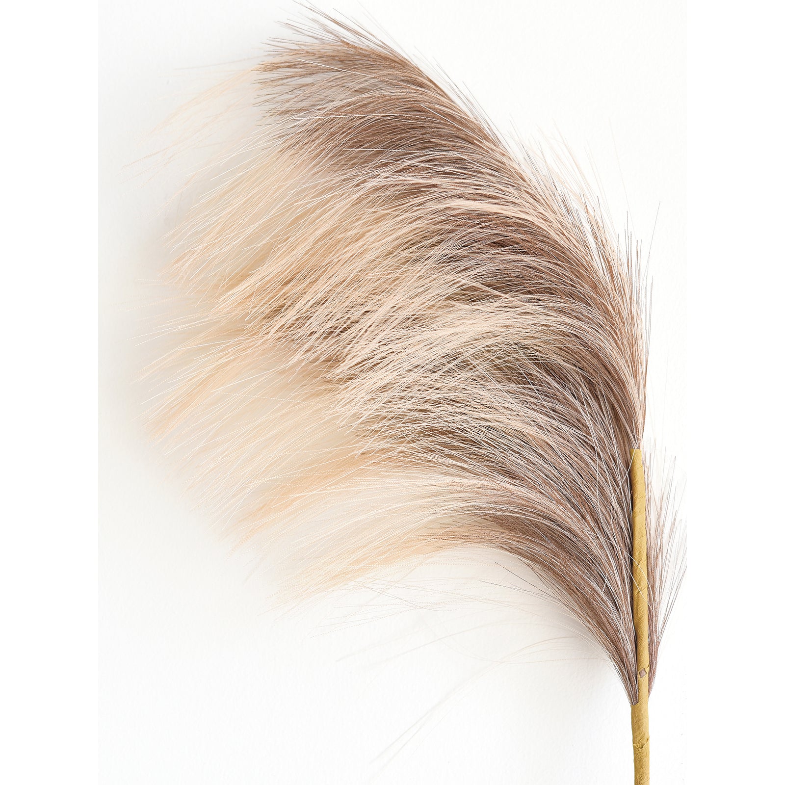 Close-up of soft, natural-colored pampas grass, adding texture to the silk eucalyptus stem arrangement