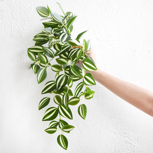 FiveSeasonStuff Real Touch Artificial Hanging Foliage Plant Tradescantia Wandering Jew House Plant 2 Stems