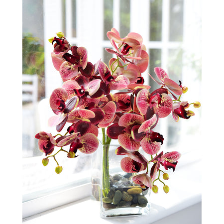 Tropical Berry Pink 2 Stems Real Touch Artificial Butterfly Orchids/Moth Orchid/Phalaenopsis Flowers 27.6" Tal 70cm
