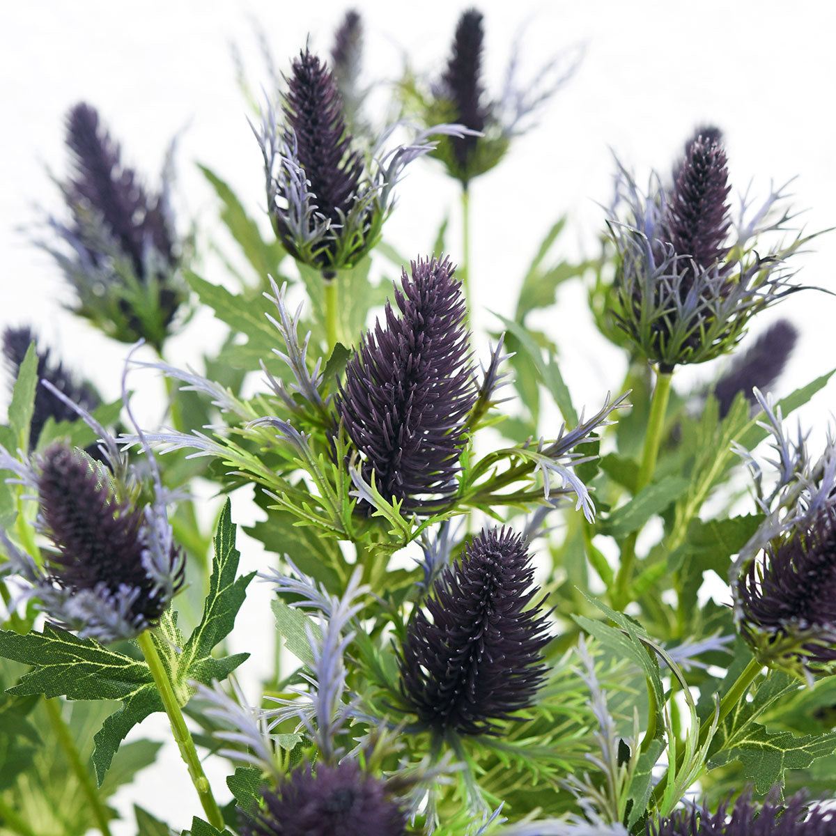 Real Size Artificial Eryngium (Sea Holly) Purple Thistles (8 Stems)