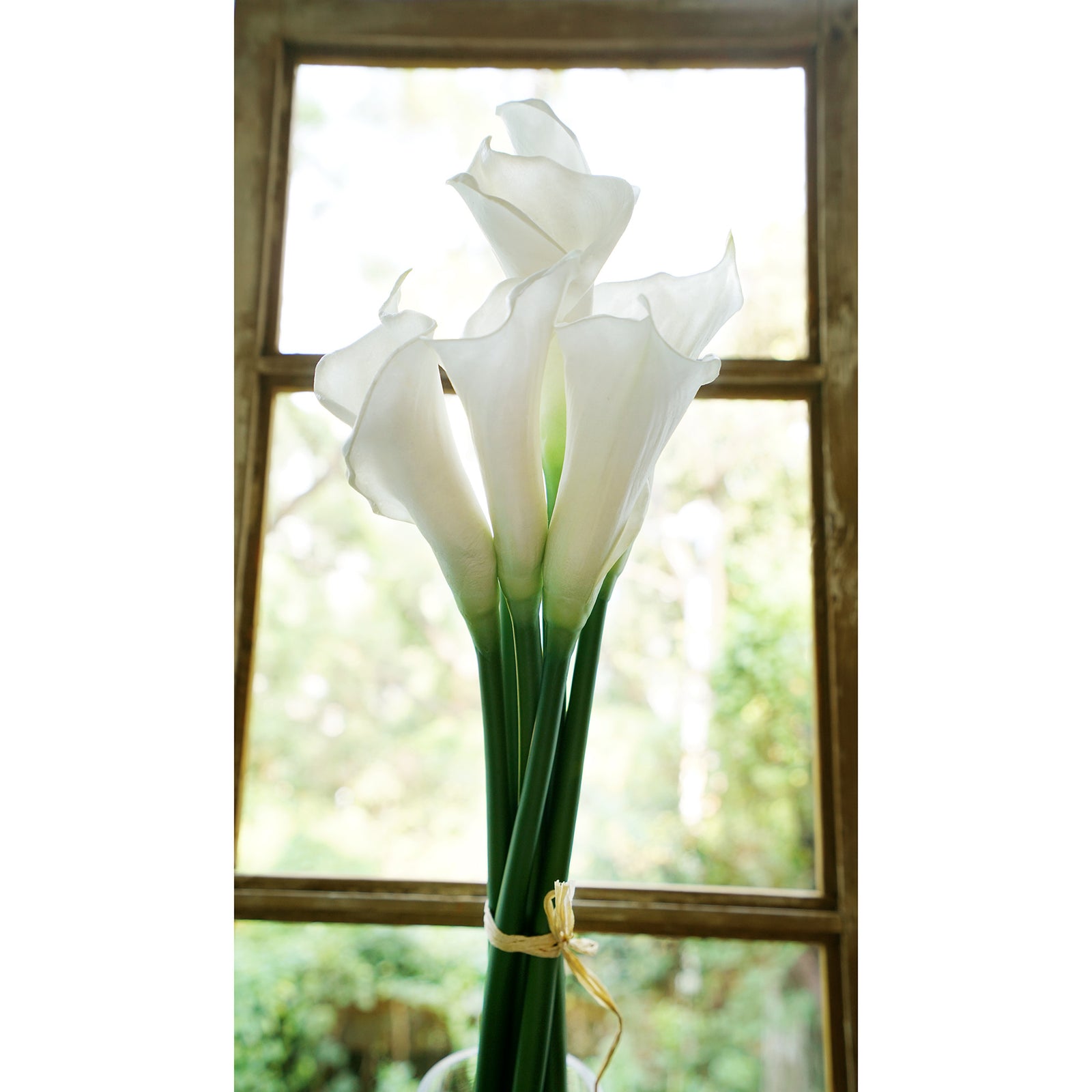 White Real Touch Large Size Calla Lilies Artificial Flower Bouquet 6 Stems