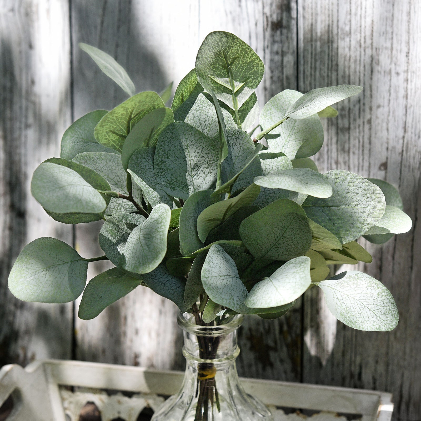 FiveSeasonStuff 10 Stems Realistic Looking Artificial Silver Dollar Eucalyptus Foliage Home Decor