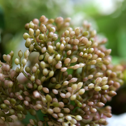 Viburnum (Harmony Brown) Long Stem Artificial Silk Flowers, Filler Flower, Wedding, Home Decor, Arrangment 6 Stems