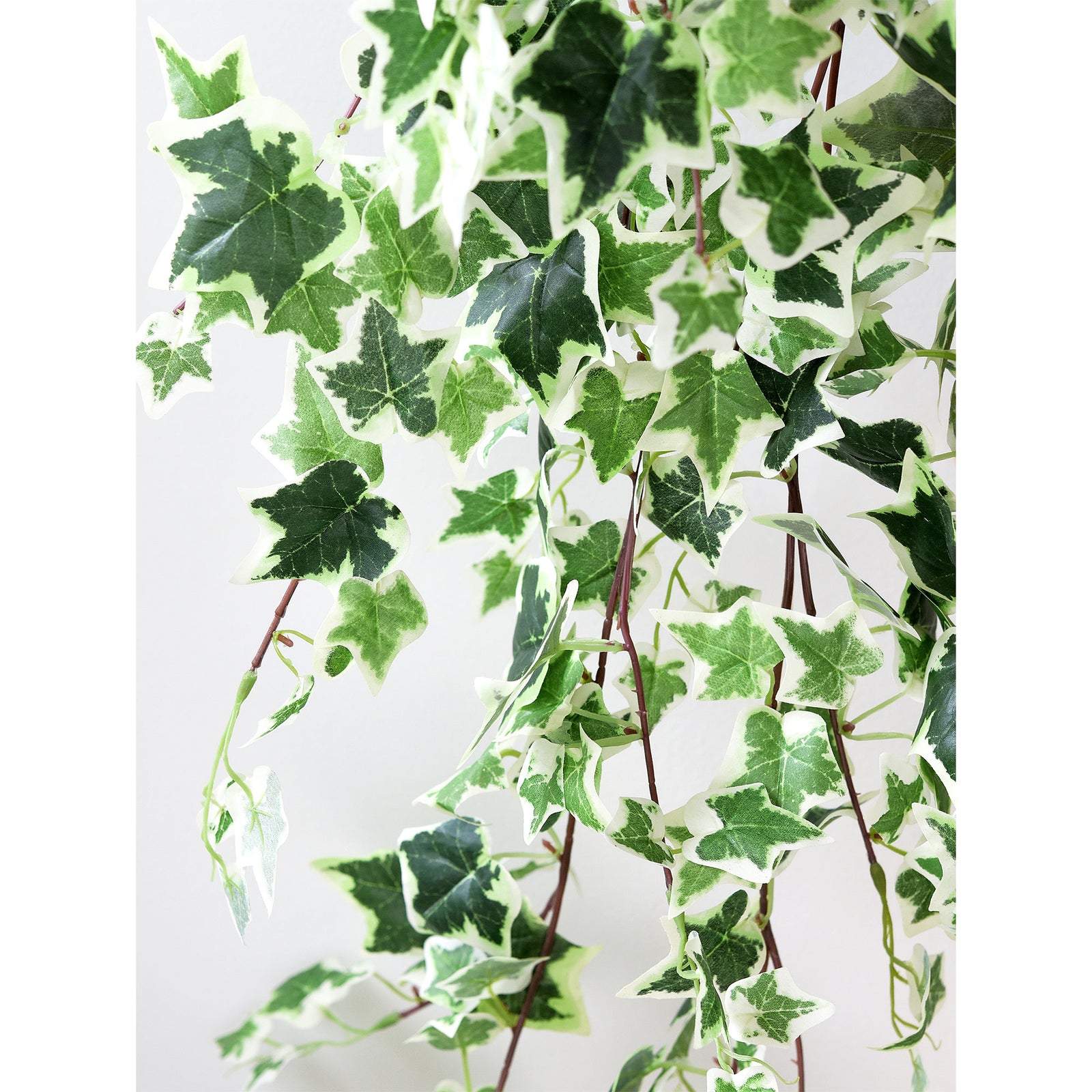 FiveSeasonStuff 4.3 ft (130cm) Cascading Variegated Ivy Artificial Garland