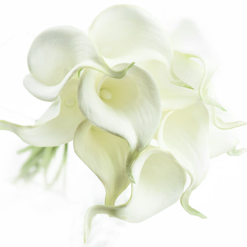 White Real Touch Calla Lilies Artificial Flower Bouquet 10 Stems